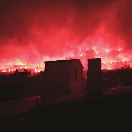 卡尔卡松La Terrasse Du Temps Jadis别墅 外观 照片